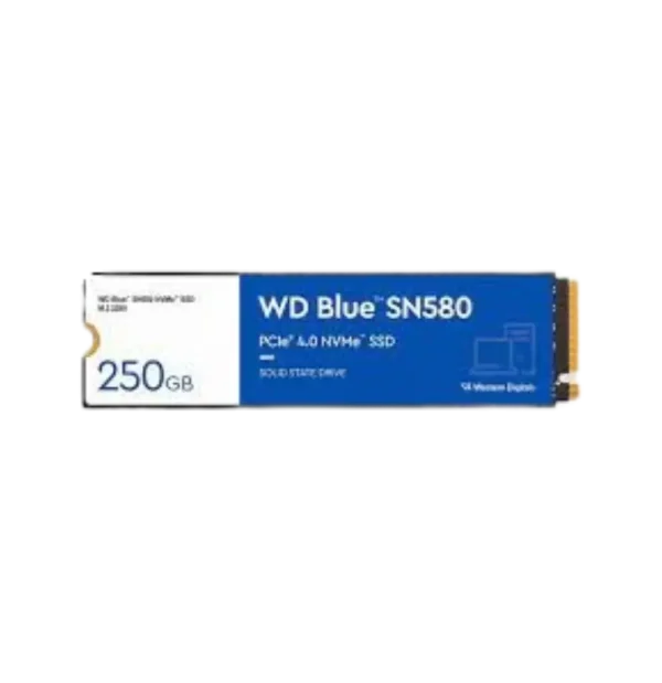 WDS250G3B0E-00CHF0