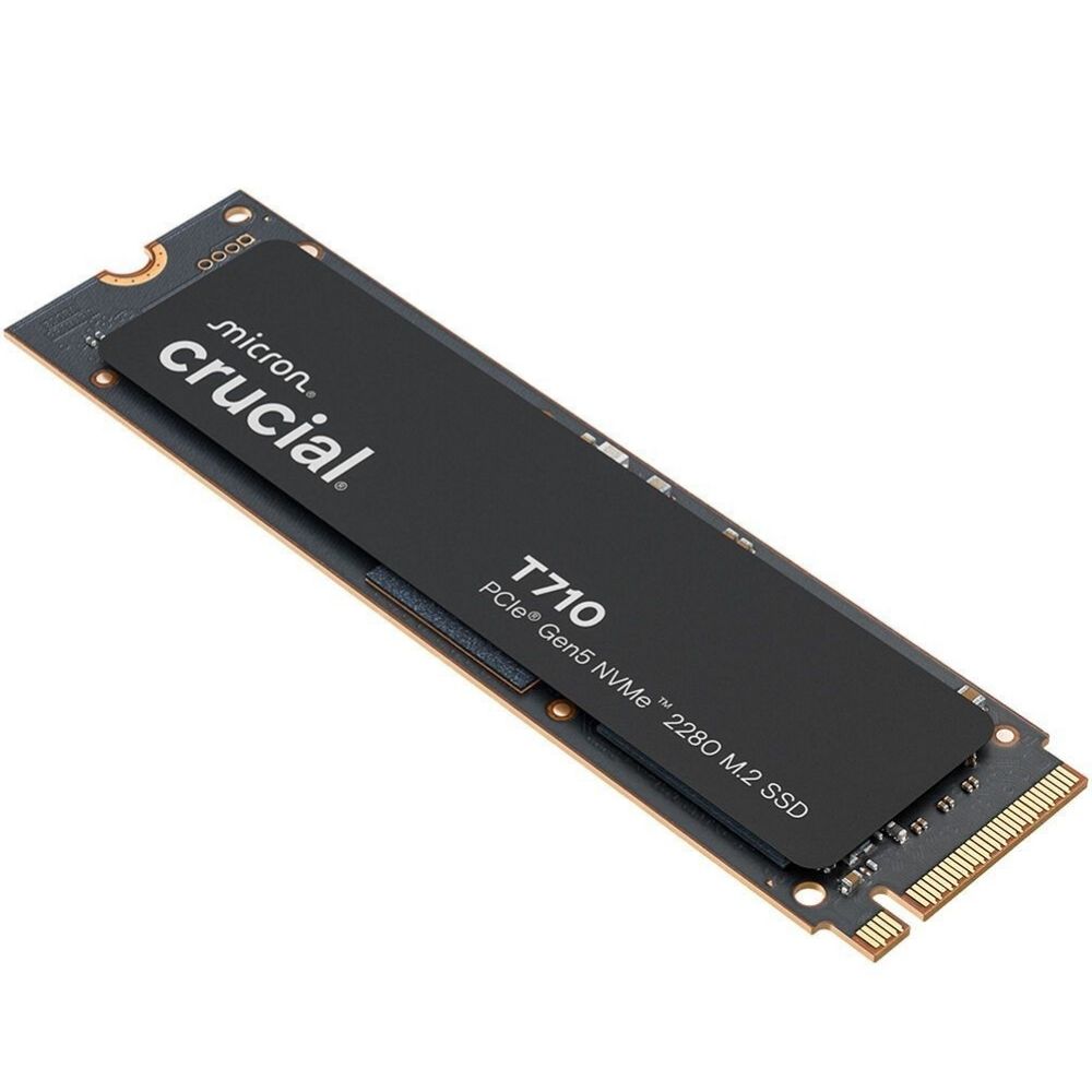 CT1000T710SSD8